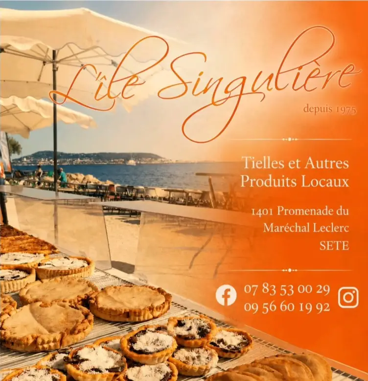 flyer de présentation l'ile singuliere
